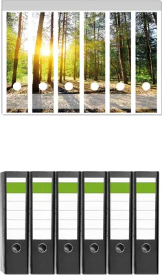 Produktbild von Wallario 6 Stück breite Ordner inkl. Klebeetiketten mit Motive Sonnenstrahlen tief hinter dem Wald -  Set mit Rückenschildern / Ordnerrücken Stickern