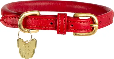 Immagine prodotto di Digby & Fox - Collare per cani, pelle arrotolata, fibbia ER2101 (S - Collo: 35 cm-40 cm) (Scarlatto)