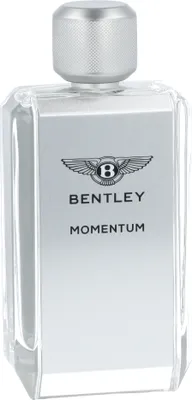Image de Bentley Momentum Eau de Toilette, 100ml