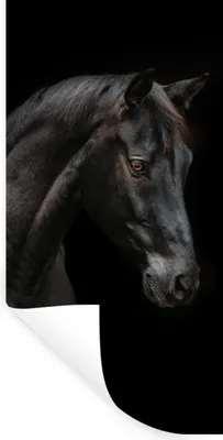 Produktbild von MuchoWow® Wandtattoo Wandsticker Wandaufkleber Pferd - Tiere - Schwarz - Porträt 20x40 cm Selbstklebend und Repositionierbar - Selbstklebend - Fototapeten