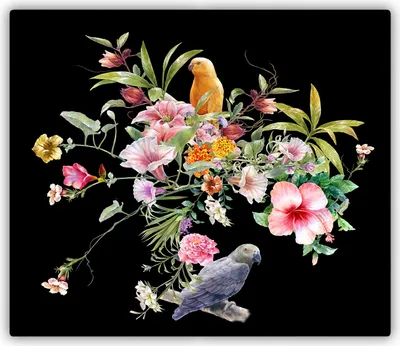 Produktbild von Tulup Glas Herdabdeckplatte Glaskeramikkochfeld-Abdeckung Spritzschutz Glasabdeckplatte Kochplattenabdeckung und Schneidebrett - Einteilig - 60x52 cm Blumen und Vögel
