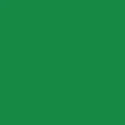 Produktbild von Poli-Flex Dimension - 4218 Green - Din A4