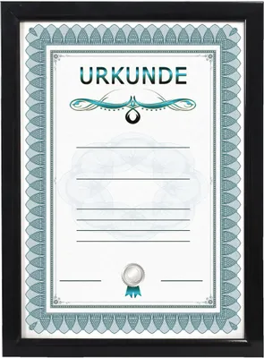 A framed certificate with decorative borders and text.