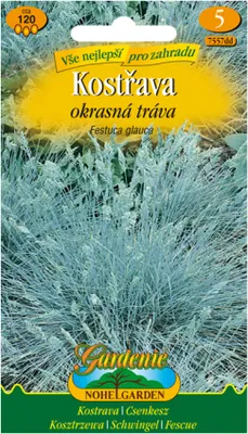 Immagine prodotto di Festuca - erba ornamentale, blu