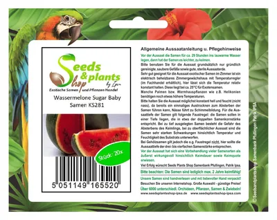 Produktbild von 20x Wassermelone Sugar Baby Gemüsesamen Garten Saatgut Frisch Samen Melone KS281