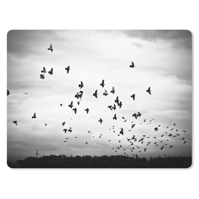 Produktbild von MuchoWow® Mauspad Mousepad Tiere - Vögel - Wolken - Schwarz - Weiß 23x19 cm - Mousepads - Maus Mat - Pad - Mausunterlage - Schreibtischunterlage - Mauspad