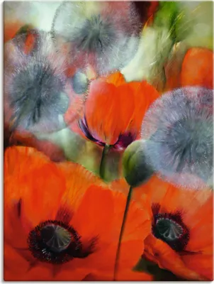 Produktbild von ARTland Leinwandbild Mohn und Pusteblumen Größe: 90x120 cm