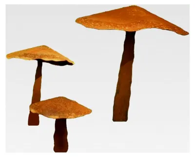 Produktbild von Gartendeko Figuren Pilze aus Rost - 3er-Set