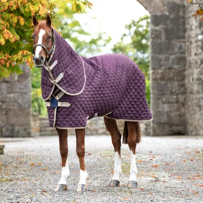 Image de Horseware Amigo Stable Plus DISC Medium 200g - Fig/Navy, 125