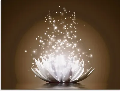 Produktbild von Vadim Georgiev: Magie der Lotus-Blume braun - Glasbild, Größe:60x80 cm / Glasbild