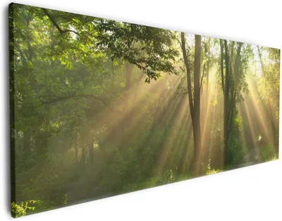 Produktbild von Wallario Premium Leinwandbild Weggabelung im Sonnenschein in Größe 60 x 150 cm