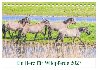 Produktbild von Ein Herz für Wildpferde (Tischkalender 2027 DIN A5 quer), CALVENDO Monatskalender
