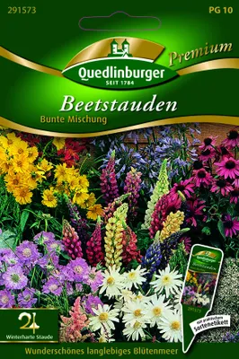 Produktbild von Beetstauden Bunte Mischung | Blumensamen von Quedlinburger