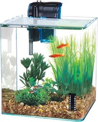 Produktbild von Desktop-Aquarium-Set für Garnelen und kleine Fische - 5 Gallonen Nano-Tank