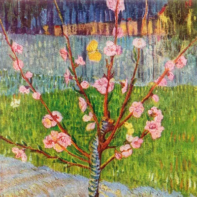 Obrázek produktu pro Vincent Van Gogh Art Print Obraz - Kvetoucí broskvoň, 1888 (40 x 40 cm)