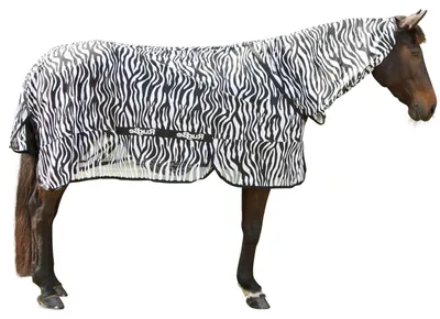 Productafbeelding van Vliegdeken met geïntegreerde hals voor paarden