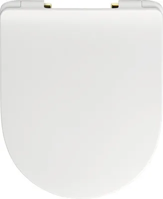 Produktbild von REIKA WC-Sitz MITO weiß Scharniere messing poliert mit Absenkautomatik und Quick&Clean für Jungborn Donella, Jungborn Tw