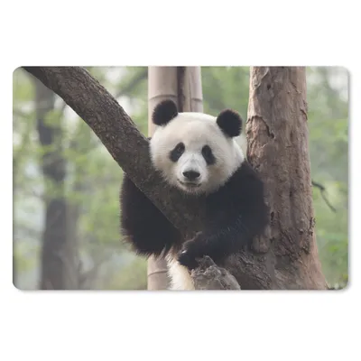 Produktbild von MuchoWow® Mauspad Mousepad Panda - Baum - Wald 27x18 cm - Mousepads - Maus Mat - Pad - Mausunterlage - Büroartikel - Desk Matten