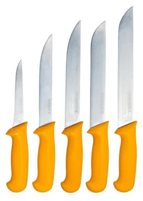 Produktbild von 5-teiliges Professionelles Fleischmesser-Set aus Edelstahl