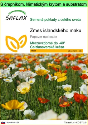 Obrázok produktu pre SAFLAX Garden to go - Zmes islandského maku - Papaver nudicaule - 8000 Semená - S črepníkom, klimatickým vekom a pestovateľským substrátom