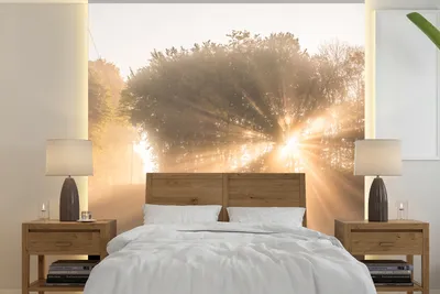 Produktbild von MuchoWow® Fototapete für Wohnzimmer oder Schlafzimmer Wandtapete Vinyl Motivtapete Sonnenstrahlen durch den Morgennebel im Söderåsen-Nationalpark - 260x260 cm - Papiertapeten