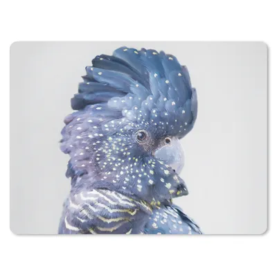 Produktbild von MuchoWow® Mauspad Mousepad Kakadu - Blau - Tiere - Natur 23x19 cm - Mousepads - Maus Mat - Pad - Mausunterlage - Schreibtischunterlage - Mauspad