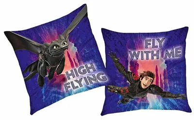 Produktbild von Flieg mit Mir | Kinder Deko-Kissen 40 x 40 cm | DreamWorks Dragons