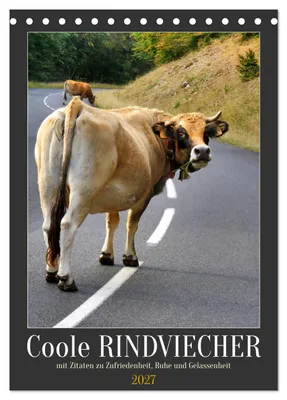 Produktbild von Coole Rindviecher (Tischkalender 2027 DIN A5 hoch), CALVENDO Monatskalender