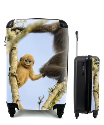 Produktbild von MuchoWow® Koffer Handgepäck Trolley Rollkoffer Kleine Reisekoffer mit 4 Rollen - Junger Affe schaut in die Kamera - Cabin Size < 55x40x23 cm & 55x40x20 cm - Fotokoffer - Kabinenkoffer - Boardgepäck - Reise-Box - Reisekoffer - Reisegepäck - Koffer mit Bild - Trolley für Kinder