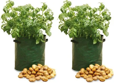 Produktbild von Unyqoos® Kartoffel-Anbautasche 40 L – wiederverwendbar, faltbar, Polyethylen, Drainagelöcher & verstärkte Tragegriffe, mit Anbauanleitung für Balkon & Kleingarten