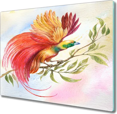 Produktbild von Coloray Kochplattenabdeckung Herdabdeckplatte 60x52 cm Hackbrett Schneidebrett Küchenbrett - Tier Vogel