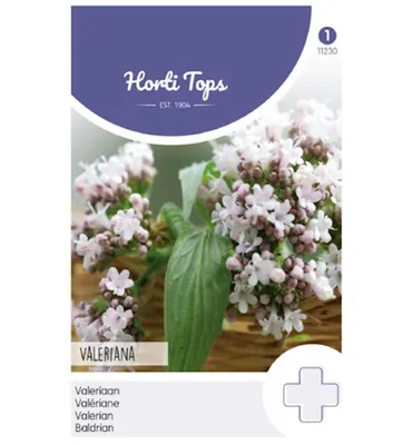 Produktbild von Horti Tops Echte Baldrian Kräutersamen - 1 Saatgutbeutel