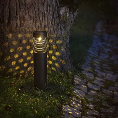 A solar-powered pathway light illuminates a tree trunk and a cobblestone path at night.