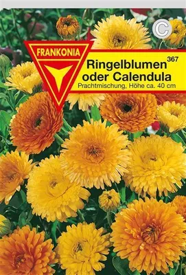 Produktbild von Ringelblume Prachtmischung