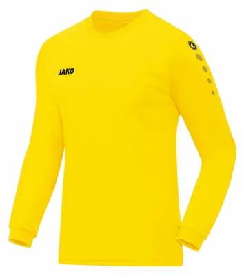Produktbild von JAKO Trikot Team Langarm 140 citro