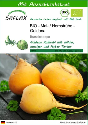 Produktbild von SAFLAX - BIO - Kohlrabi - Goldana - Brassica rapa - 500 Samen - Mit keimfreiem Anzuchtsubstrat