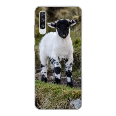 Produktbild von MuchoWow® Handyhülle Schutzhülle Hülle für Samsung Galaxy A70 Lamm - Schwarz - Weiß - Tupfen Silikon Softcase Handy Hülle - Schutzhaube