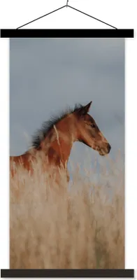 Produktbild von MuchoWow® Textilposter Pferd - Luft - Gras 90x180 cm mit schwarzem Rahmen - Dekoration Wohnzimmer