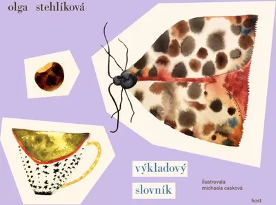 Zdjęcie produktu dla Výkladový slovník