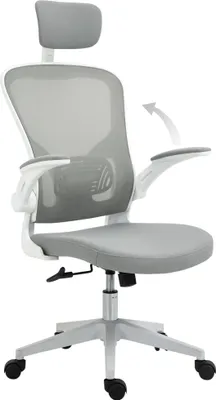 Produktbild von Bürostuhl, Ergonomisch, Wippfunktion, Hohe Rückenlehne, Lendenwirbelstütze, Kopfstütze, Hochklappbare Armlehnen, Home-Office, Grau, 65 x 64 x 114–122 cm