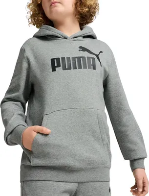 Produktbild von Puma ESS No. 1 Logo Hoodie FL B - grau, Größe:152