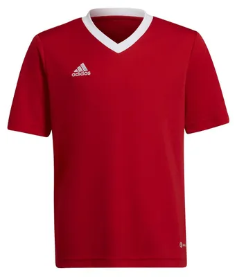 Produktbild von adidas Entrada 22 Trikot 176 TEPORE