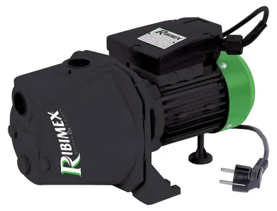 Immagine prodotto di Pompa di superficie autoadescante da 750w Ribiland PRJET81