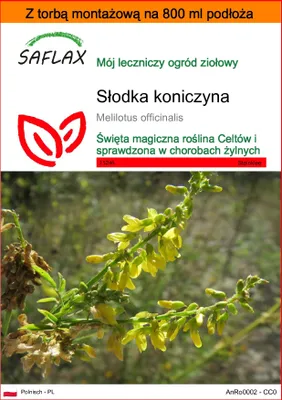 Zdjęcie produktu dla SAFLAX - Garden in the bag - Słodka koniczyna - 250 Nasiona - Z podłożem uprawowym w praktycznej, samorozkładającej się torbie - Melilotus officinalis
