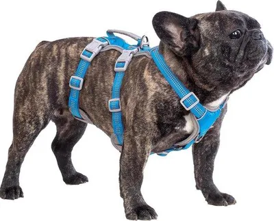 Immagine prodotto di Imbracatura per cani Famanu con sistema di sicurezza antiscasso - Imbracatura riflettente con maniglia imbottita - Traspirante e resistente - Blu S