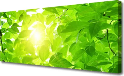 Produktbild von Tulup Leinwand-Bilder 125x50 Wandbild Canvas Kunstdruck Blätter Pflanzen