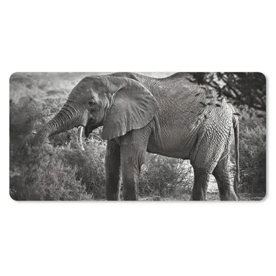 Produktbild von MuchoWow® Mauspad Mousepad Elefant - Tiere - Bäume - Schwarz - Weiß 60x30 cm - Mousepads - Maus Mat - Pad - Mausunterlage - Nachhaltig