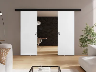 Obrázek produktu pro Posuvné dvoukřídlé interiérové dveře SANITA 3 - 132 cm, bílé