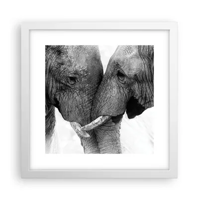 Produktbild von Gerahmtes Poster - Weißer Rahmen - Elefanten Safari Bond - 30x30 cm - Wand Bild - Wanddeko - Wandbilder - Kunstposter - Wandposter - Bilderrahmen - Bilder - Kunstdruck - P2WAC30x30-4973