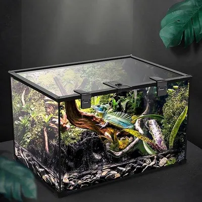 Produktbild von Famanu Terrarium für Reptilien - Anti-Entweich-Design, 30 x 20 x 16 cm